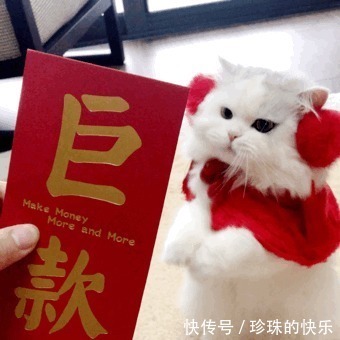 拜年|必存!新年拜年表情包丨第310期热门表情包