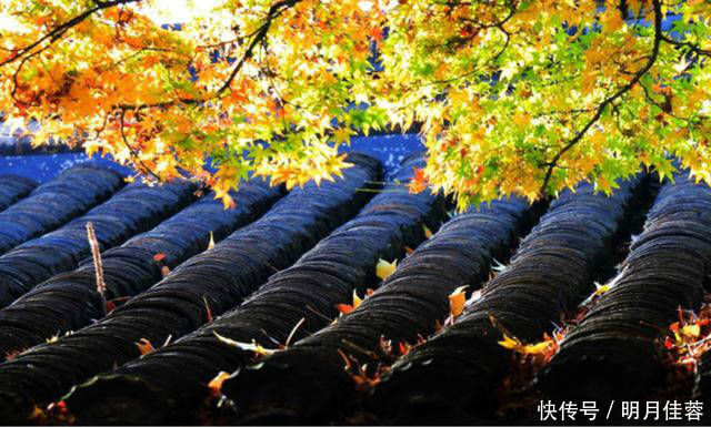 韩侂胄|辛弃疾被朋友骗了后一病不起,写下首临终绝笔,道出人生三大真谛