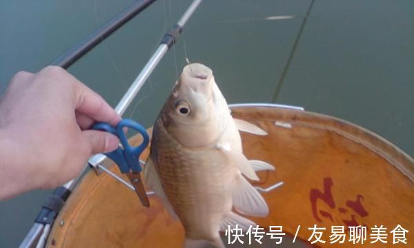 冬季钓鱼，看到这种“现象”，千万别错过，随便钓也能上大板鲫！