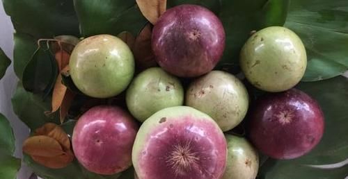  补气|中年人的福音，常吃以下食物，滋阴补气、补血养颜，改善便秘