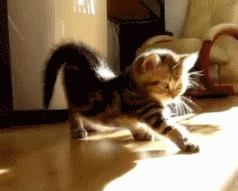 |搞笑动图:不好好走路,哥们你抽筋了么?