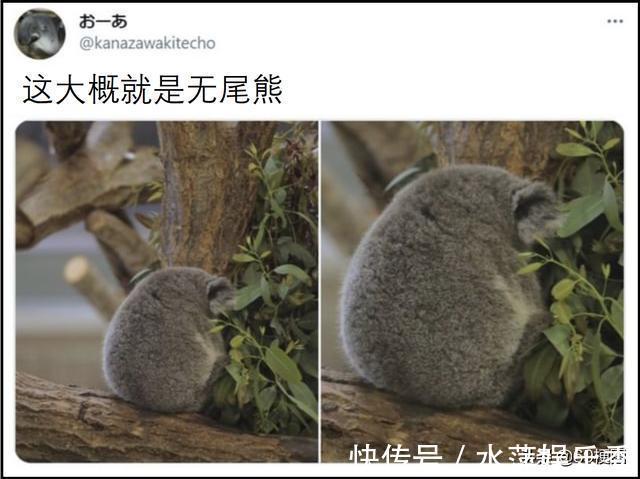 梗图|梗图合集:史塔克先生,这太酷了,而且我很舒服