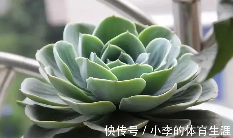 要想成为一名合格的肉友，你还需要知道这些黑话