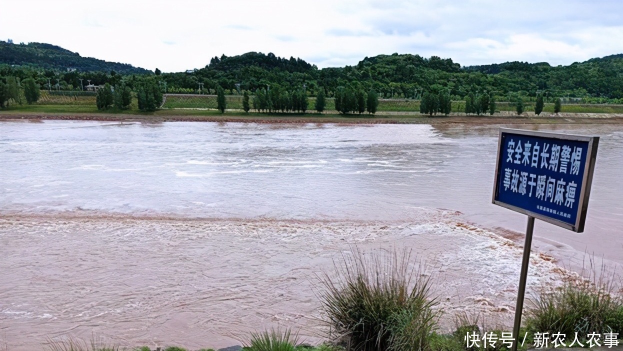 大水|又是钓鱼惹的祸,四川2男1女深夜在嘉陵江中看热闹,被大水被冲走