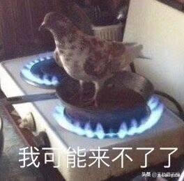 qvq|闲鱼上正确的捡垃圾姿势!220元买了个啥别问,我是垃圾佬