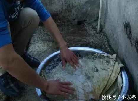 中年|红薯和“它”一起煮, 连吃一周, 排出体内“湿气”, 体重悄悄降