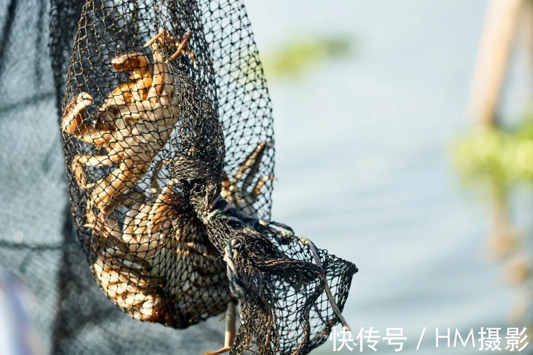 神农架|10月旅游地推荐！错峰出游，这些地方已美成仙境