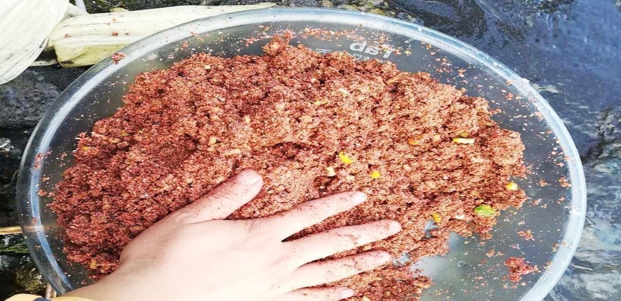 同样都是钓鱼,为何别人比你钓得多,秘密在这里