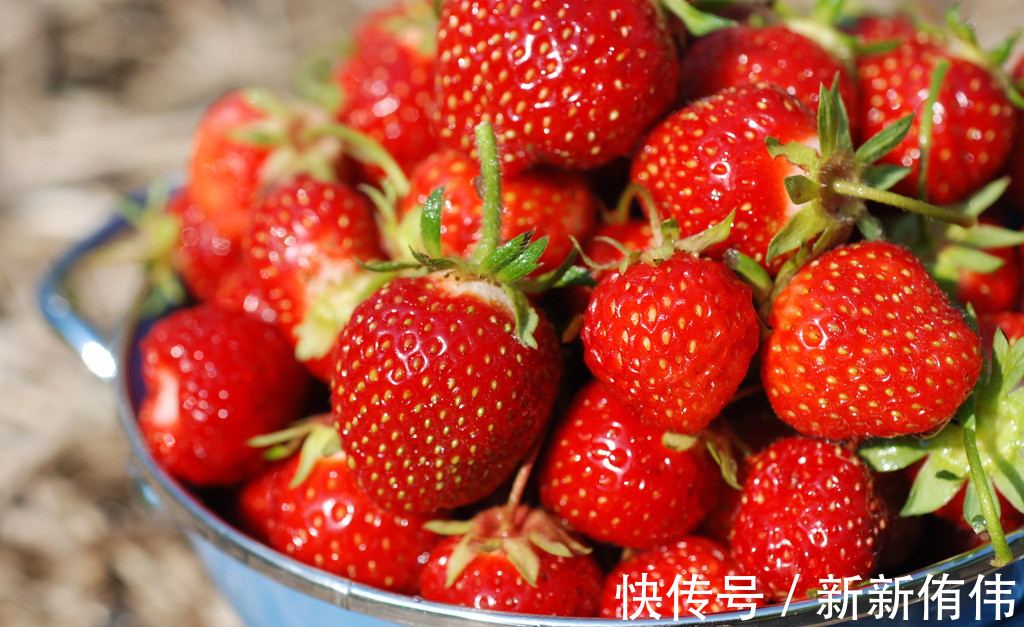 此物营养丰富,常吃可益气轻身,悦泽肌肤,食之令人好颜色