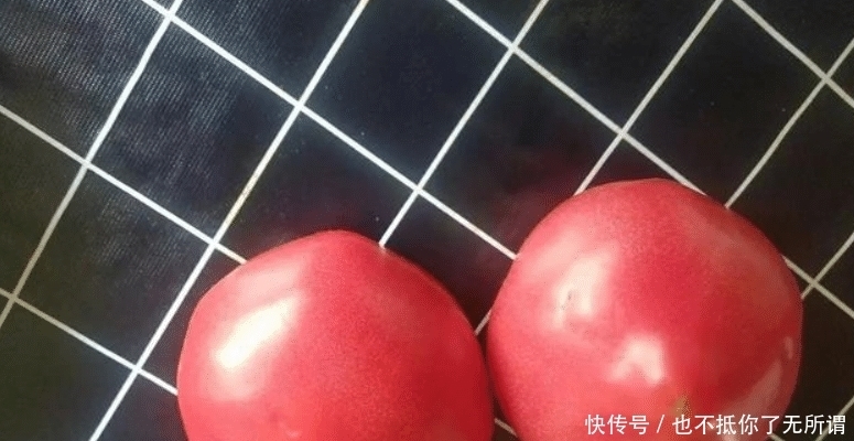 为什么现在的番茄越来越没沙，也没番茄味了啊？