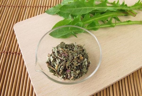 蒲公英茶|自己“晒干”的蒲公英,能用来养生当茶喝吗大部分都搞错了!