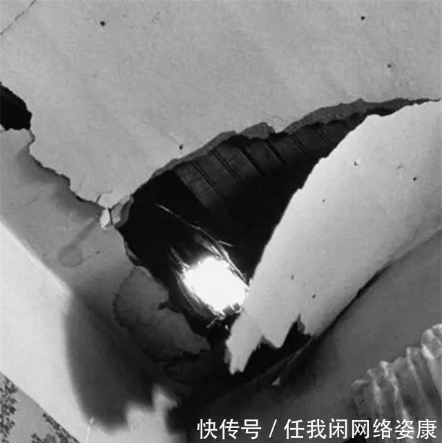 史上唯一被陨石砸中的人本可一夜暴富,却因贪婪以悲剧收场