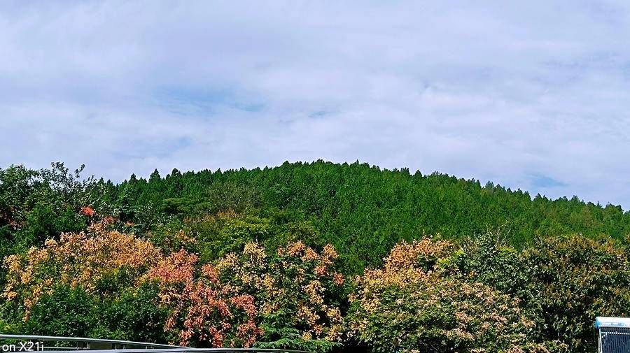 济南|10月10日，济南再现泉城蓝，蓝天白云飘，十分美