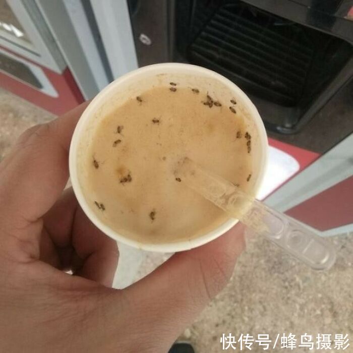 黑暗料理|35个活久未见的西餐，黄瓜中间塞着香肠，美国鸡蛋灌饼跟谁学的
