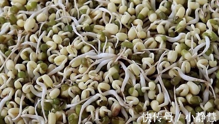 盖子|想吃绿豆芽别再买,教你在家生,一碗绿豆生一大盆,做法超简单