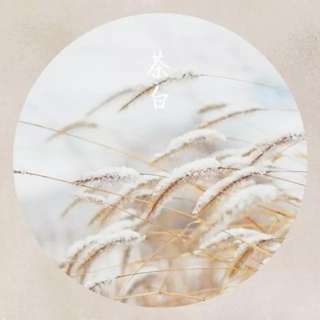 不知|金庸:情不知所起,一往情深