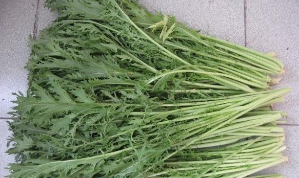 腰疼|十人九腰疼,日常多吃一种蔬菜,腰不疼腿不酸,一口气上5楼