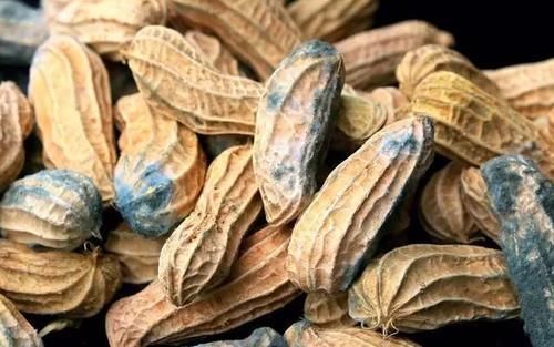 肝癌|肝癌不是突然到来的,早期肝癌,常有3个共同点,不妨自测