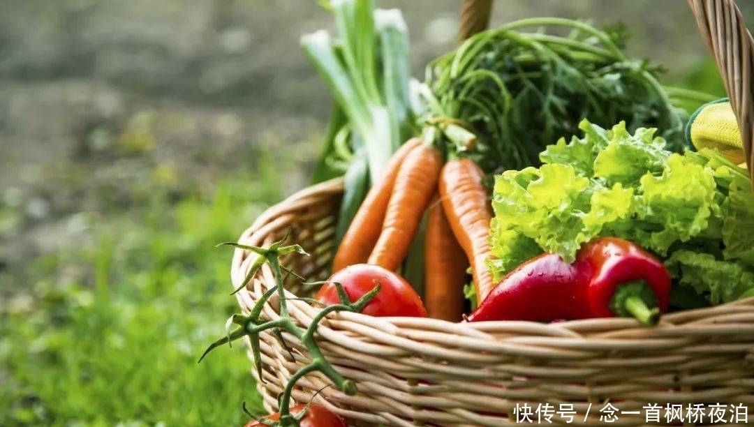 想有个菜园,余生低头种菜,抬头看花...