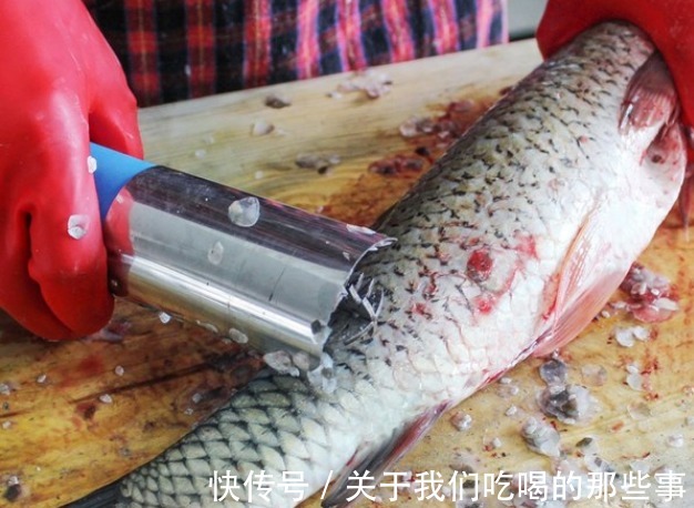 擀面杖|不用菜刀不用刨,刮鱼鳞只要一个塑料袋,又快又干净,不飞溅不腥