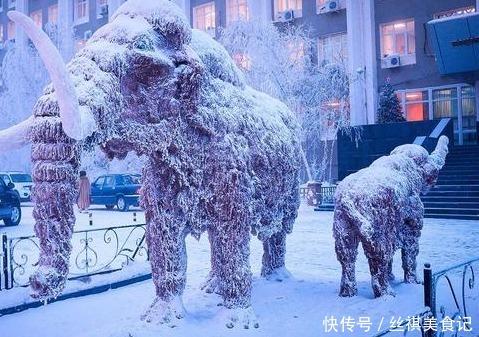 妮萨琳 西伯利亚的冬天:建个房子要7年,上街买菜尽量不说话