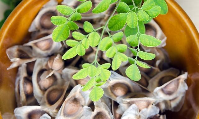 天然|天然“安眠药”找到,每天吃一点,安神助眠,或许失眠悄悄溜走