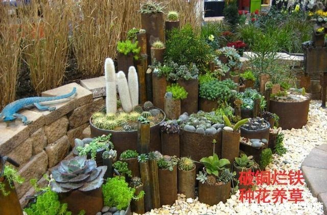 可别小看了被你扔掉的破铜烂铁!二次利用起来,在花园咋种都好看!