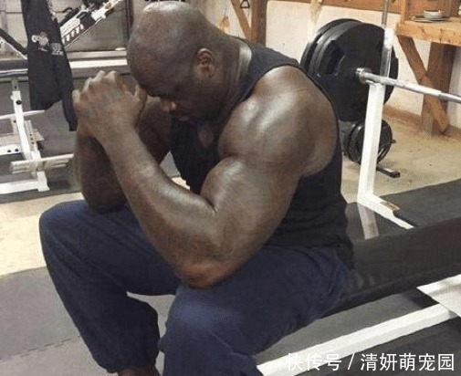 泰森|体坛巨星肌肉有多恐怖?泰森的脖子 张伟丽的腹肌