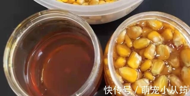 米饭|用过最好的饵料，没有之一，饵料一入水就被鲫鲤鱼疯抢
