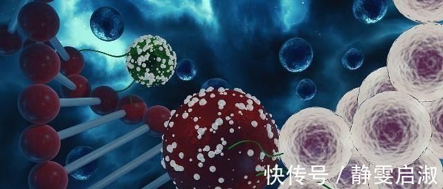 生育年龄|备孕须知,女性做好这几点,也许提高卵子颜值,早日迎接好孕