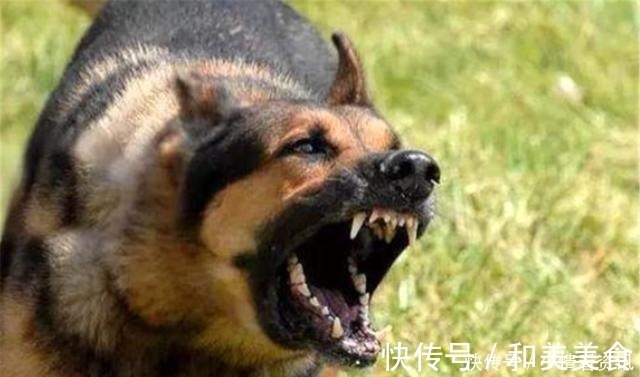 孝子$古人讲“久病孝子离、家兴出恶狗”,啥意思古人总结得很经典