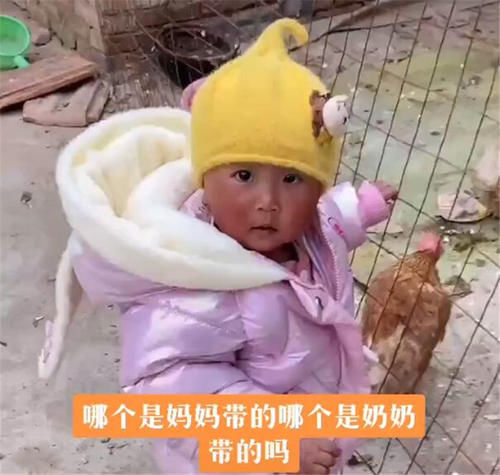 宝妈|双胞胎宝宝分开养，妈妈带的还不会走路，奶奶带的撵着鸡跑！