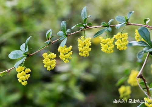 兔男|嫁给哪个生肖男，婚后只有甜没有苦，注定幸福甜蜜，夫妻恩爱