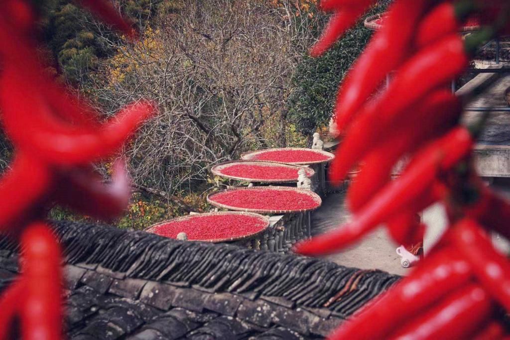  大山|皖南一处不知名的赏秋胜地，隐藏于大山之中，还可体验自驾快感