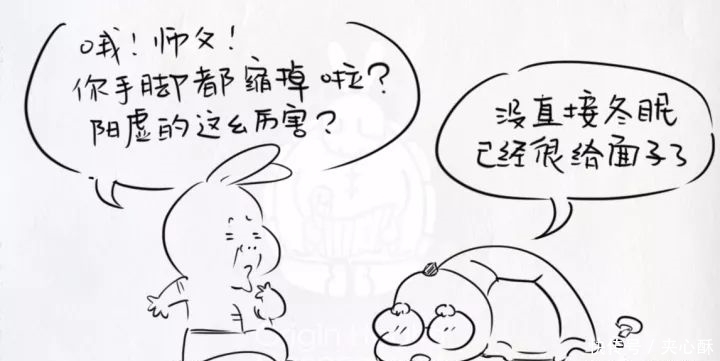 过冬|冬至后,阳虚的同志们该如何过冬?