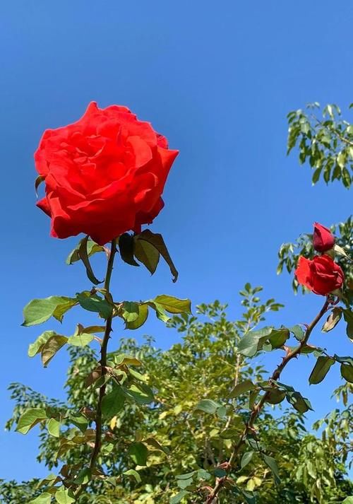 老年|喧嚣过后，一切归于平静