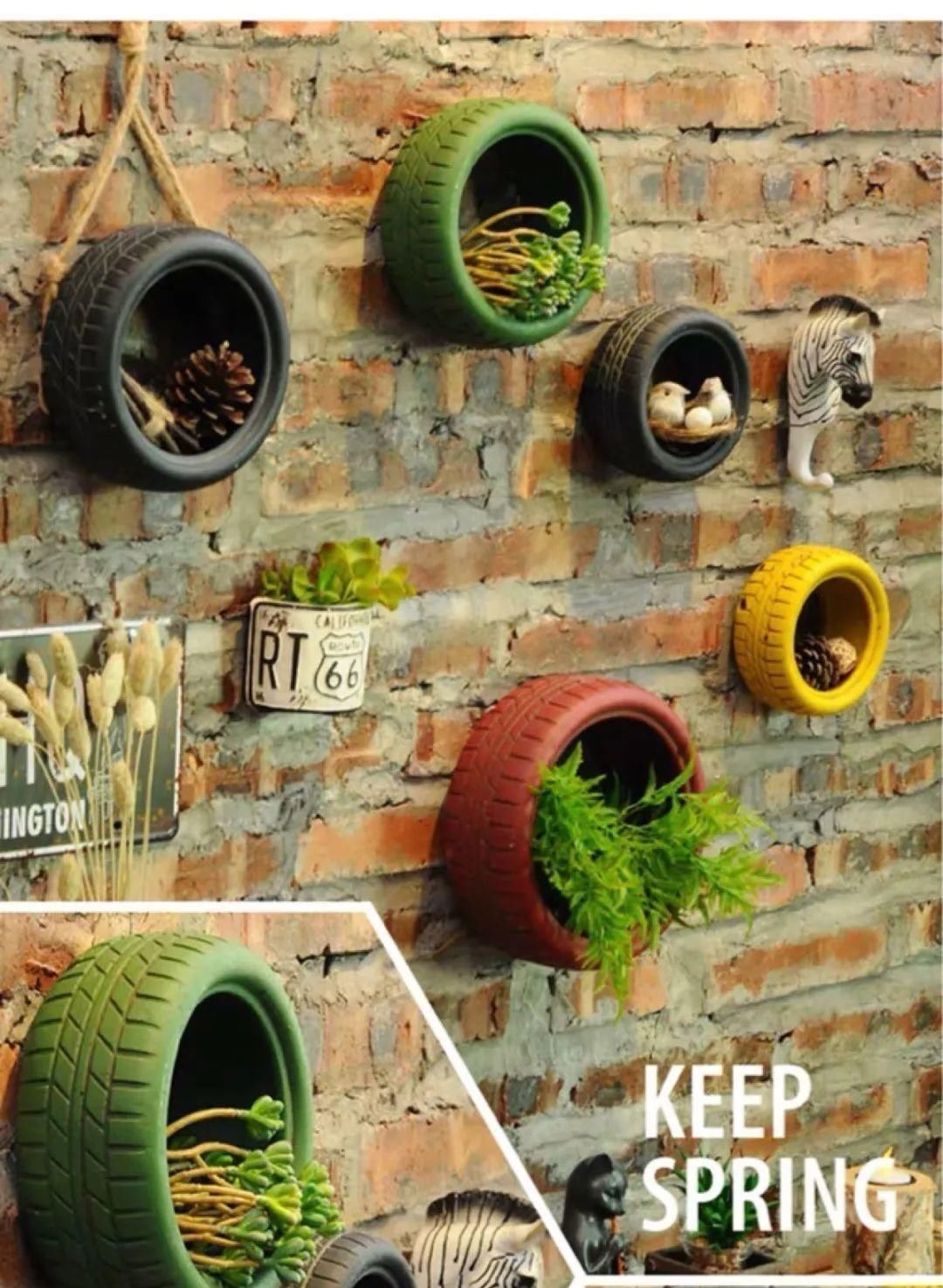 塑料瓶|旧筷子、老干妈瓶别扔,拿来养花效果好,省下一笔养花钱