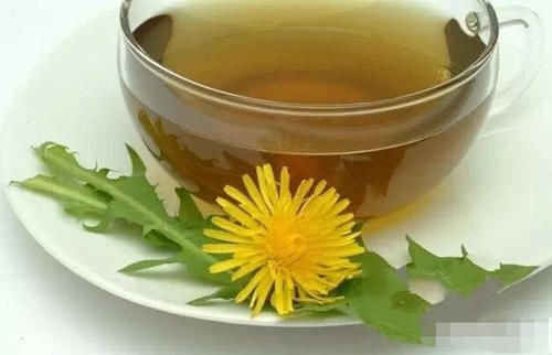 蒲公英|自己晒干蒲公英能当茶喝吗看完这个你就知道了