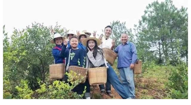 涵哥，杨迪联合梦辰一起开便利店，生意无比火爆，究竟为何？