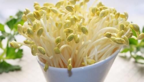 龙须菜龙须菜|人到中年想长寿,不妨多吃3种养生食物,减肥瘦身、延缓衰老