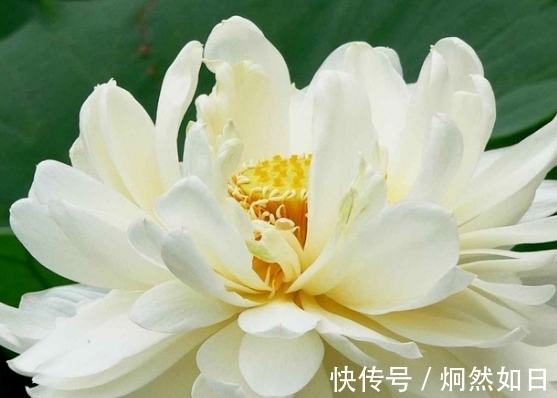 6月27日开始，开门见喜，4属相吉星伴身，桃花朵朵，财库大开