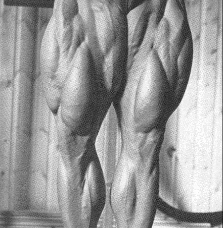 阿诺德|他用一己之力改变健美风向强壮如我的腿部,才配得上奥赛的荣光