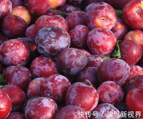 水果|夏季成熟的小水果，又被誉为“肝之果”，开胃又解毒，价值很珍贵