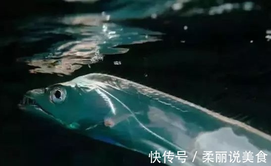 买带鱼有诀窍牢记“挑带鱼8字口诀”，学会了买带鱼不踩坑