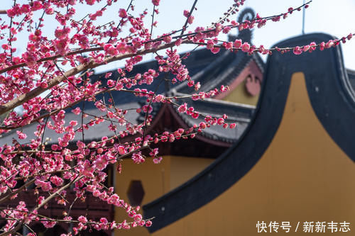 慧理|杭州灵隐寺有一副对联，悬挂了1700年，点醒无数人，帮助走出困境