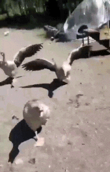 |搞笑GIF:姑娘 是时候找个男朋友了