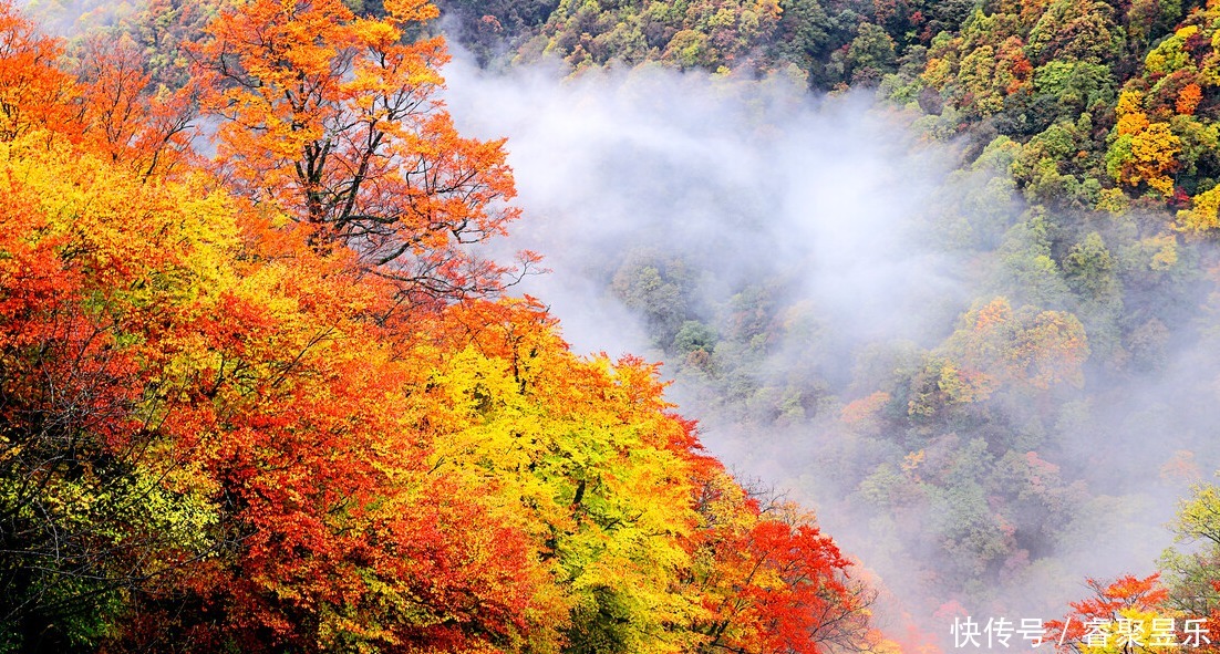 美丽|秋光乍泄 美景成诗 秋日的神农架 一定会惊艳到你