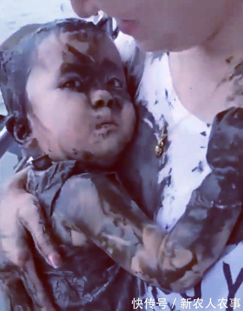 四川|四川一萌娃闹出了笑话,掉进泥潭秒变泥人,爸爸的反应亮了