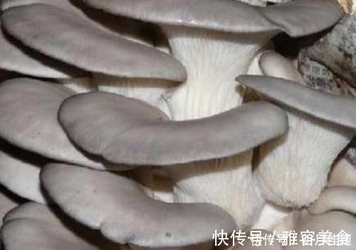 青蛙|放大200倍,4种食物含有千条寄生虫,你绝对吃过,看完还敢吃