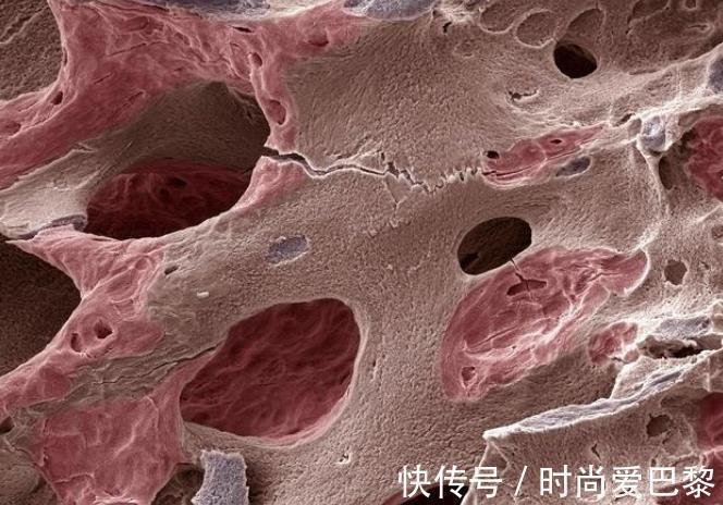 喝牛奶|为什么不建议女性天天喝牛奶?提醒:喝牛奶牢记4点,更营养